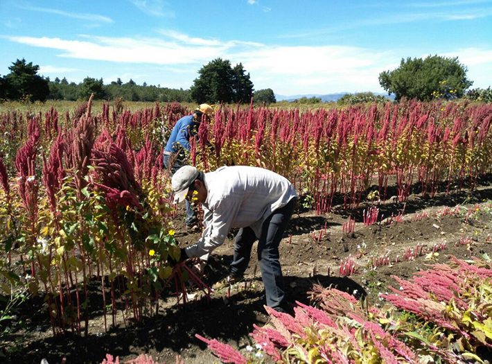 WhatsApp Image 2019 03 13 at 15.41.45 1 1