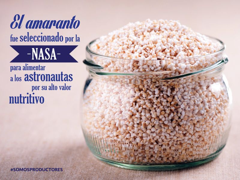 WhatsApp Image 2019 03 13 at 15.47.06