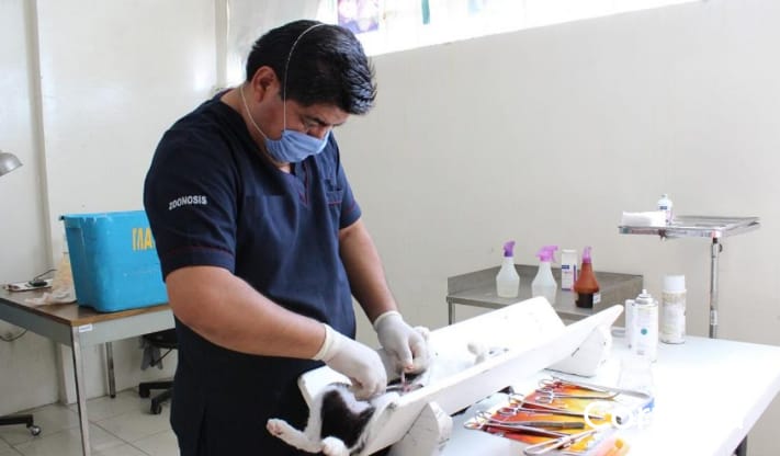 Resumen 05.06.19 2 WhatsApp Image 2019 06 05 at 19.19.18