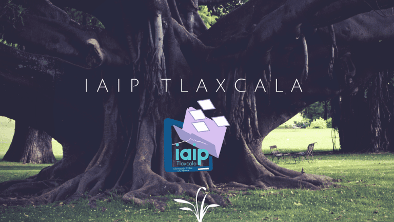 ¿Qué tanto responden las dependencias a las solicitudes de información?