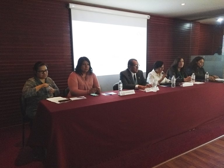 Falta historiar y reivindicar la lucha feminista no oficial en Tlaxcala: activistas