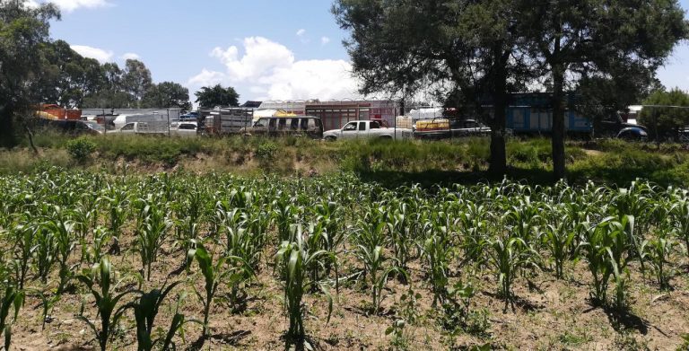 Aumentan víctimas en zonas rurales en Tlaxcala