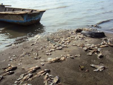 WhatsApp Image 2018 11 09 at 6.13.34 PM2