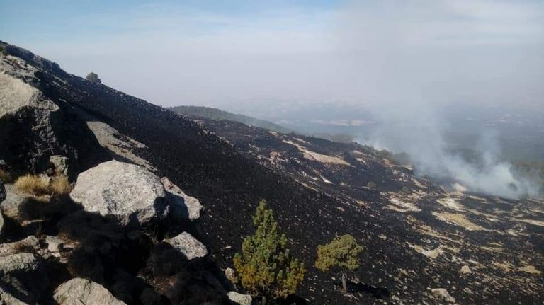 “Reforestar no es tan sencillo como plantar arbolitos», burocracia tlaxcalteca