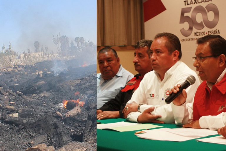 Matorrales de encino, los más afectados con incendios; consideran reforestación