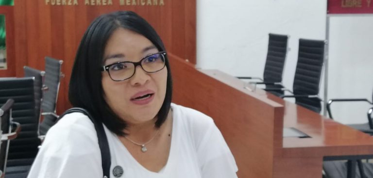 Exceso de trabajo impide avance de iniciativas: Laura Flores