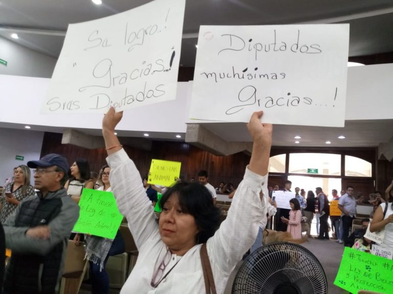 Estas son las acciones a favor de la protección animal aprobadas hoy en Congreso