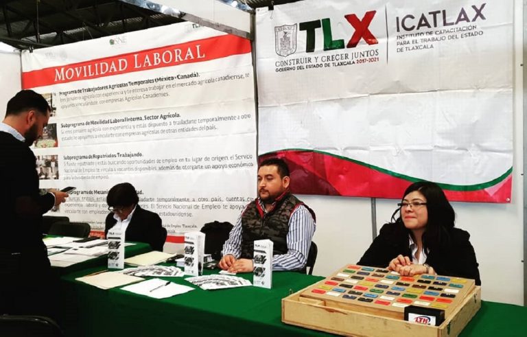 No trabajan si no es en gobierno: Desinteresa a desempleados espacios no gubernamentales