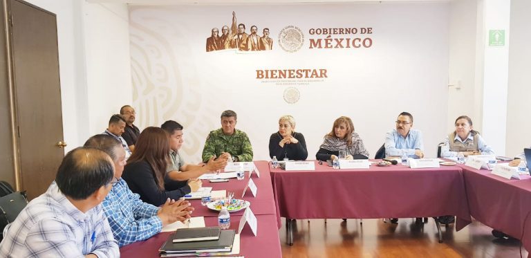 Combatirán tala ilegal, incendios, plagas y otros daños a La Malinche