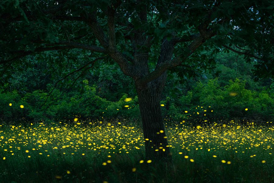 WhatsApp Image 2019 06 12 at 20.02.48