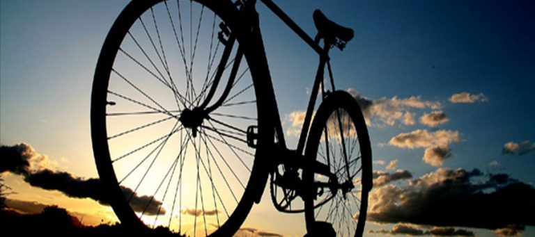 Habrá 2da Edición de Paseo Ciclista Nocturno con avistamiento de Luciérnagas