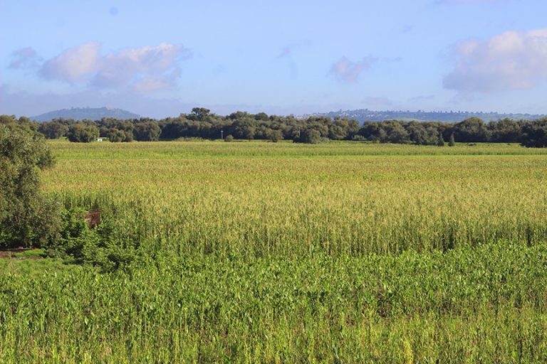 Compran tractor de última tecnología en Zacatelco, reduce emisiones contaminantes