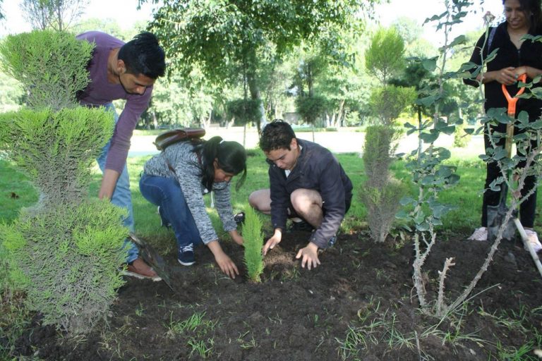 Con #ZacatelcoConsciente se plantarán más de 5 mil árboles
