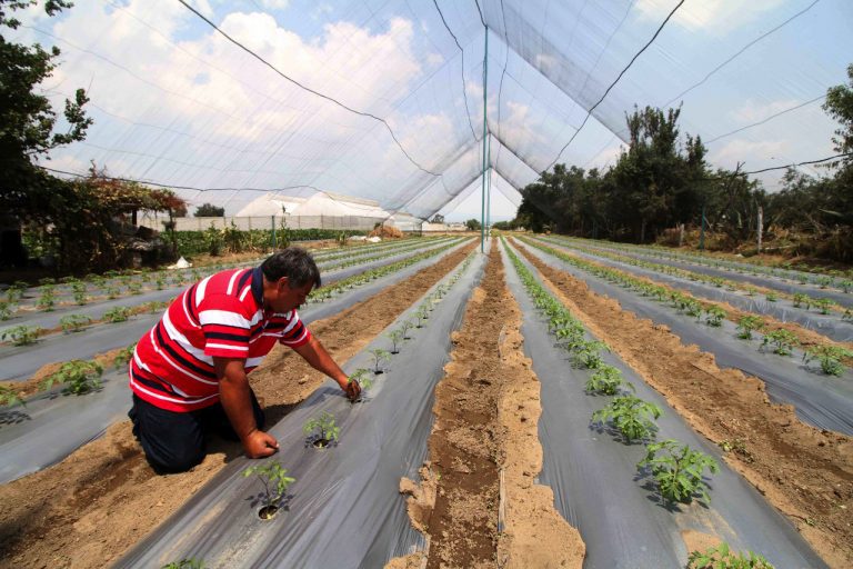 Manipulan acta de hechos del Consejo Estatal de Desarrollo Rural Sustentable