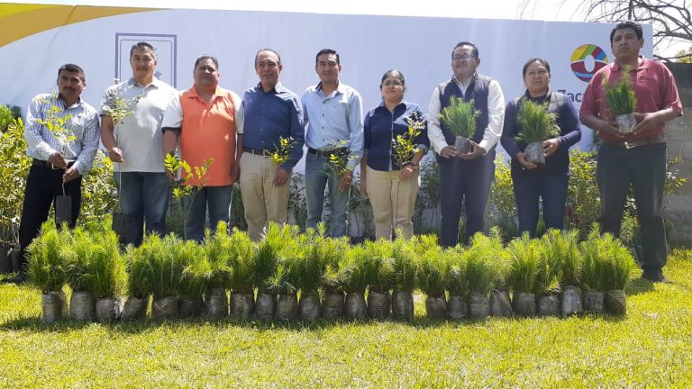 Con motivo del Día del Árbol, se entregan árboles en zona turística Los Ladrillos