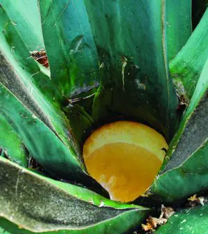 WhatsApp Image 2019 07 30 at 20.39.56 1