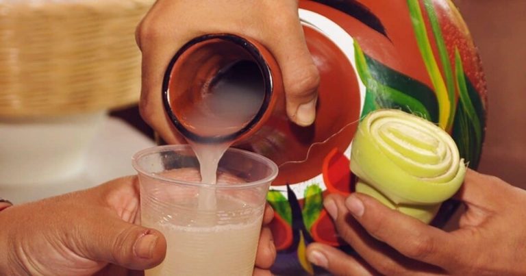 El pulque; elixir de los dioses y guerreros Tlaxcaltecas