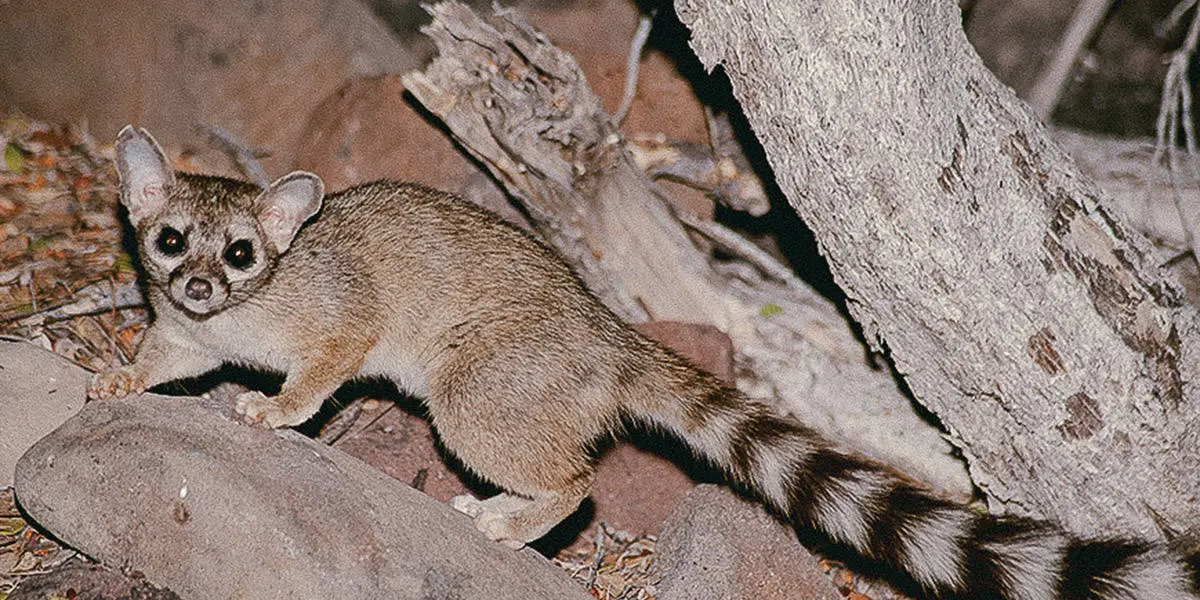 WhatsApp Image 2019 08 07 at 18.57.43 2