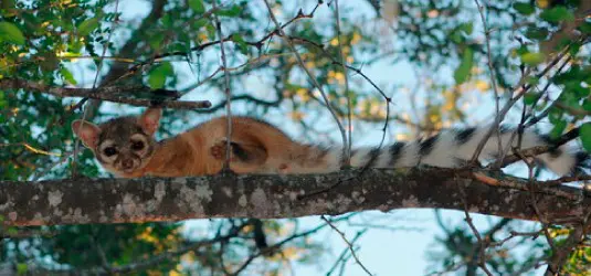 WhatsApp Image 2019 08 07 at 18.57.44 1