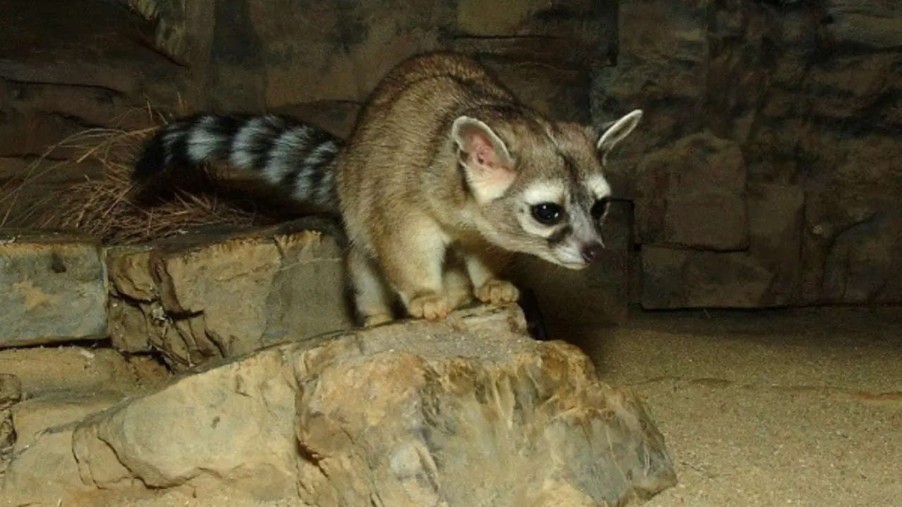 WhatsApp Image 2019 08 07 at 18.57.44 2