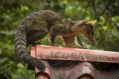 WhatsApp Image 2019 08 07 at 18.57.44 4