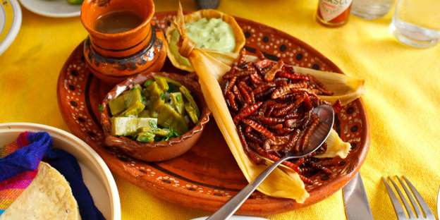 ¡Deliciosos y nutritivos chinicuiles! Aquí 6 datos de este manjar 4 WhatsApp Image 2019 08 20 at 20.04.561