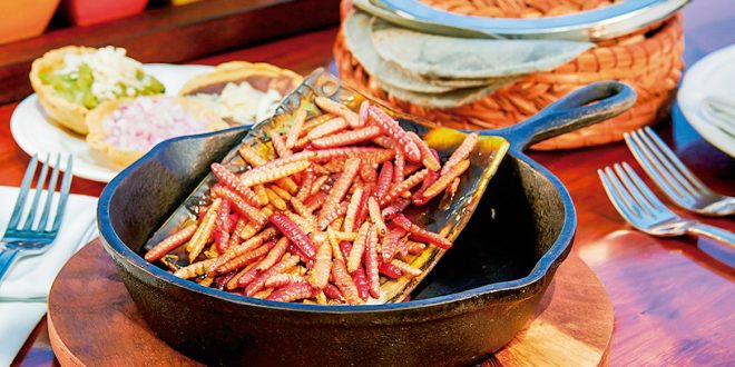 ¡Deliciosos y nutritivos chinicuiles! Aquí 6 datos de este manjar 5 WhatsApp Image 2019 08 20 at 20.04.562