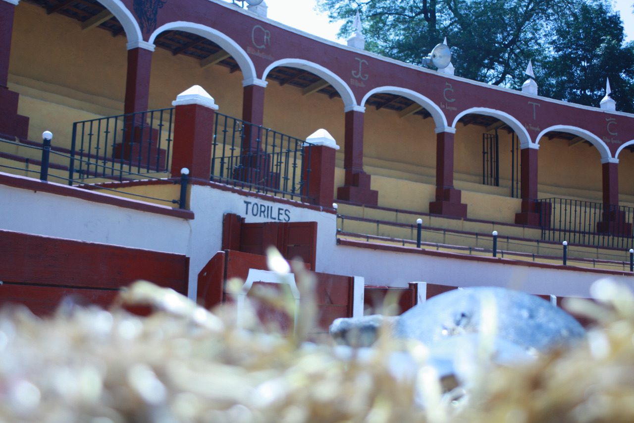 WhatsApp Image 2019 08 27 at 22.15.04