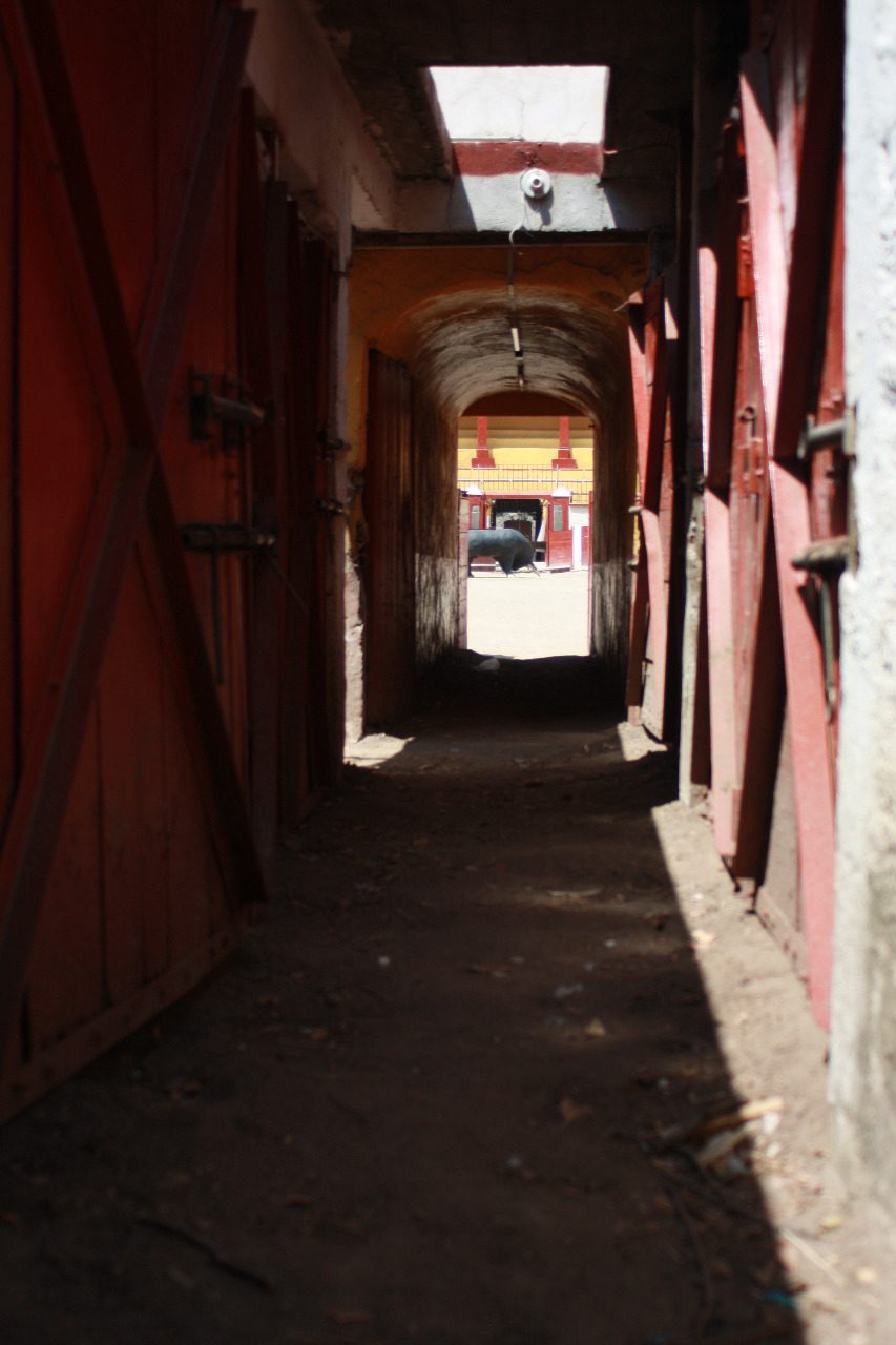 WhatsApp Image 2019 08 27 at 22.15.05 2