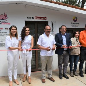 Inauguran santuario del ajolote mexicano en Zacatelco