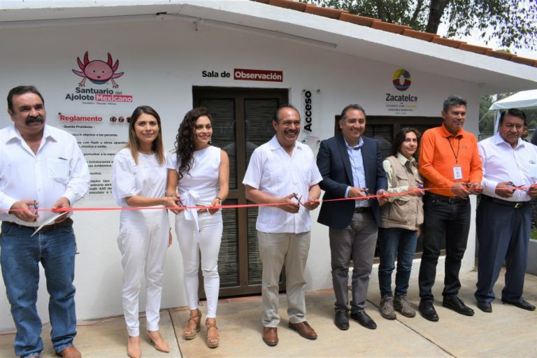 Inauguran santuario del ajolote mexicano en Zacatelco