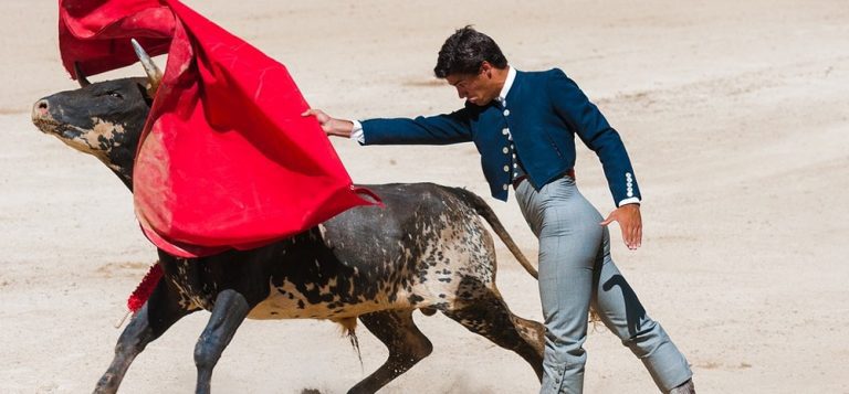 Corridas de toros podrían quedar prohibidas en Tlaxcala por consulta de AMLO