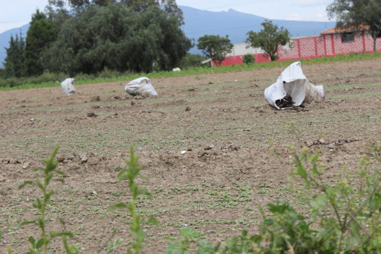 Desconocen uso de 1mdp para el campo en Xaloztoc
