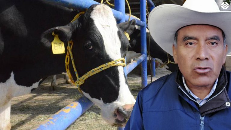 Ganado enfermo, coyotaje e investigaciones pendientes de gobierno sobre el campo: Organizaciones