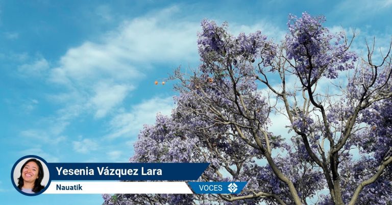 Conoce más del ambiente en nuestro estado
