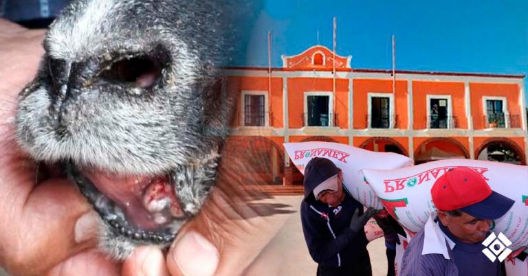 2 millones de pesos destinados al campo en Texoloc no han sido entregados