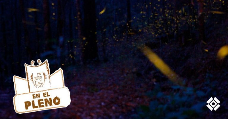 Buscan declarar el “avistamiento de Luciérnagas” como patrimonio cultural inmaterial del Estado