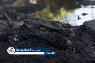 La devastación socioambiental en Tlaxcala: de la desatención y la omisión local a la preocupación y la acción nacional