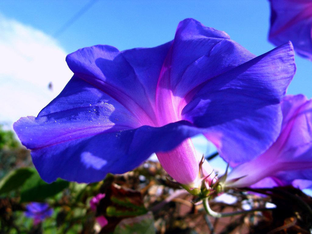 2807130056 28c9b35399 b