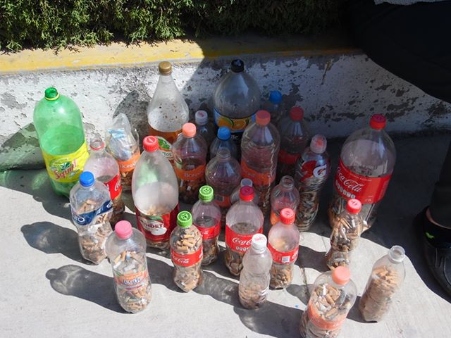 Ahora a nivel estatal, colectan 27 mil collillas en segundo Colillatón