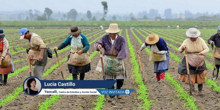 Covid-19, oportunidad para revalorizar autonomía comunitaria y dinámicas económicas alternativas