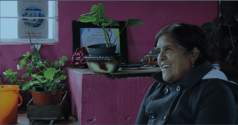 Honorina: Identidad vestida de madre tierra