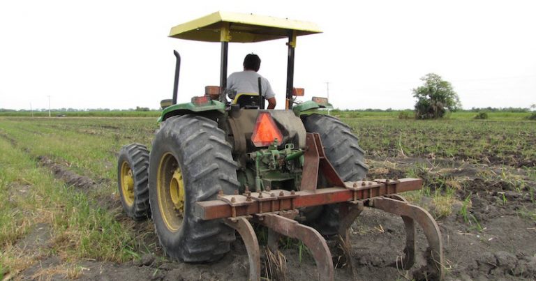 Revisa aquí las bases de las nuevas convocatorias agrícolas de Gobierno del Estado