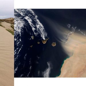 Datos para hablar del polvo del Sahara… Y del desierto de Cuapiaxtla, en extinción