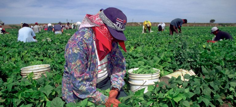 4 mil visas temporales de trabajo se entregan a tlaxcaltecas al año en EU y Canadá