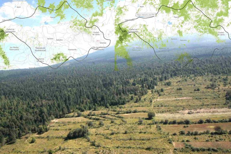 se-acaba-el-bosque-de-la-malintzi-entre-puebla-y-tlaxcala-gfw-escenario