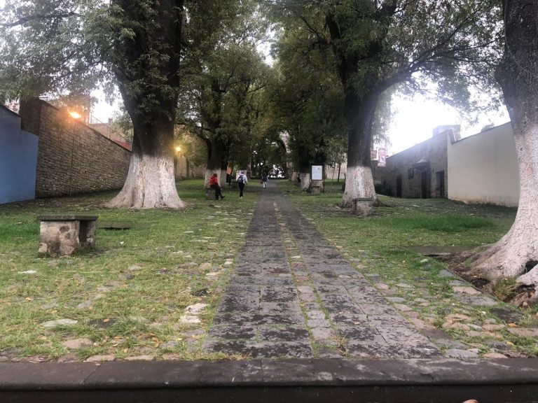 Quitan a artesanos para que UNESCO reconozca a San Francisco