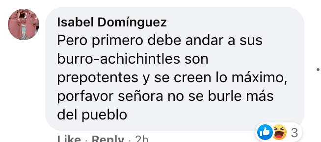 ¿Lorena paseando en burro en plena pandemia o en 2016? Ambas falsas 7 video-Falso-Lorena Cuéllar-engañoso