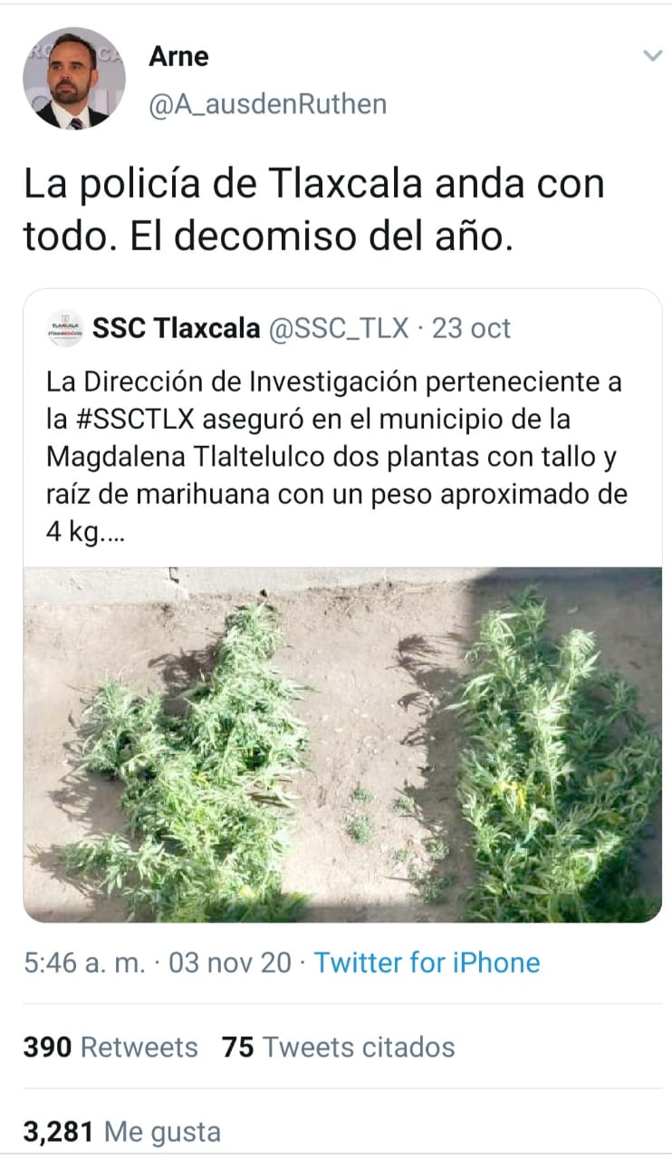 SSC Tlaxcala informa decomiso: 2 plantas de mota; se burlan en Twitter 3 imagen 1