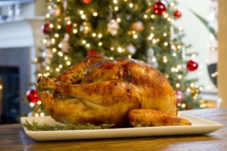 El Pavo navideño, nuestro guajolote: 6 datos de este prehispánico animal